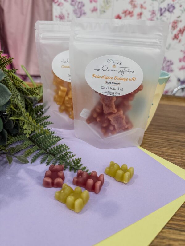 INFUSO ORSETTO PAN DI ZENZERO/ ARANCIA