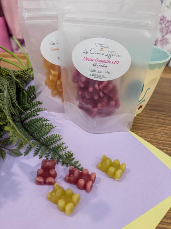 INFUSO ORSETTO CILIEGIA E RIBES